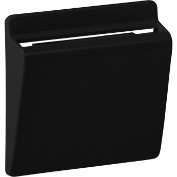 Лицевая панель LEGRAND Valena ALLURE для выключателя электронного с ключом-картой антрацит Лицевая панель LEGRAND Valena ALLURE для выключателя электронного с ключом-картой антрацит