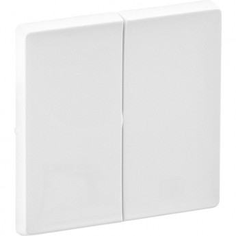 Лицевая панель LEGRAND Valena LIFE для двухклавишного выключателя белая Лицевая панель LEGRAND Valena LIFE для двухклавишного выключателя белая